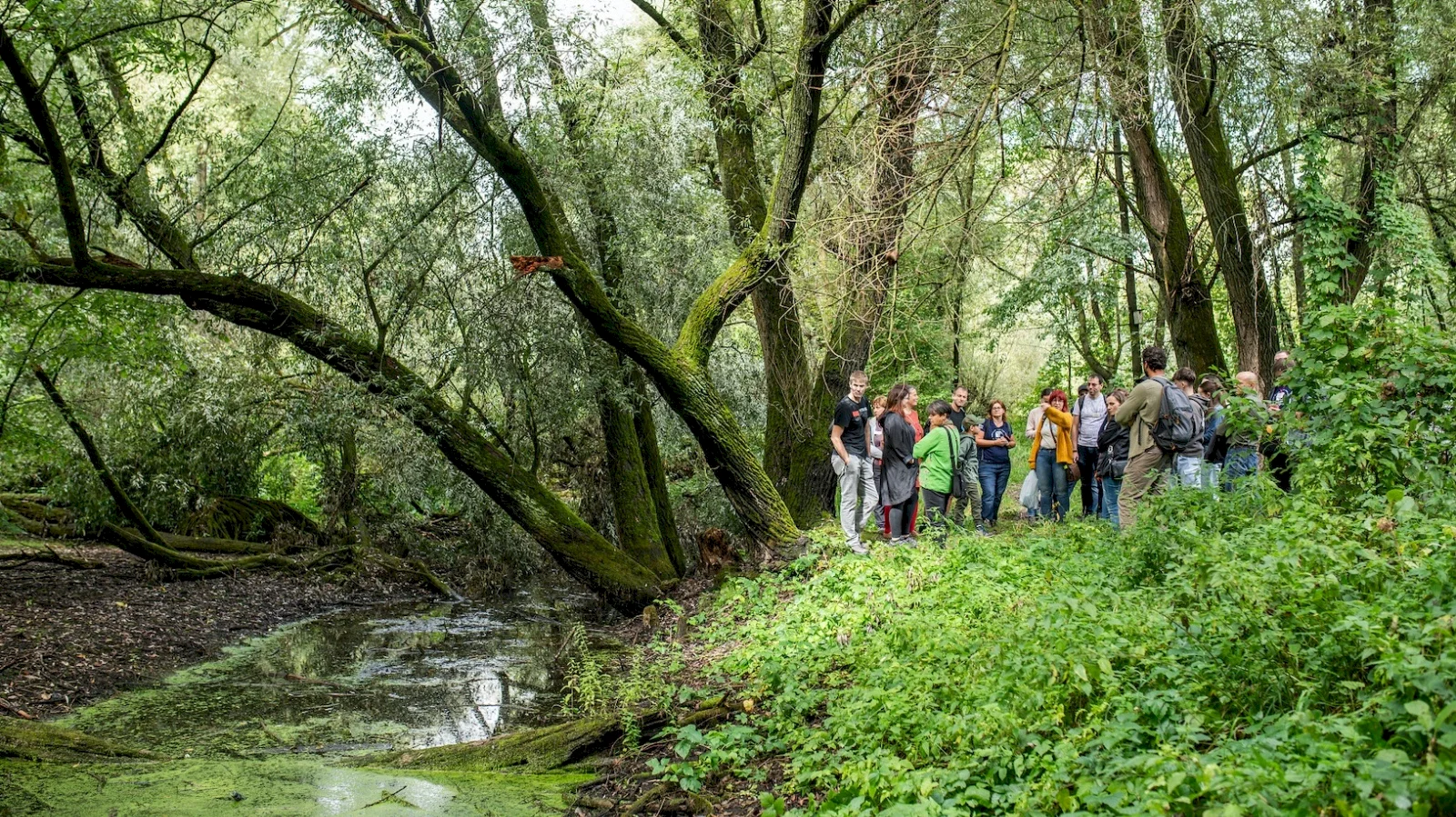 Záujem o projekty na pomoc prírode neutícha – 10 organizácií získava podporu 65-tisíc eur