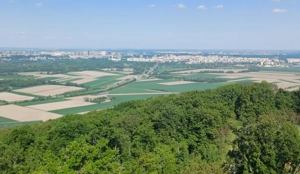 Projekcie vývoja európskeho poľnohospodárstva do roku 2035
