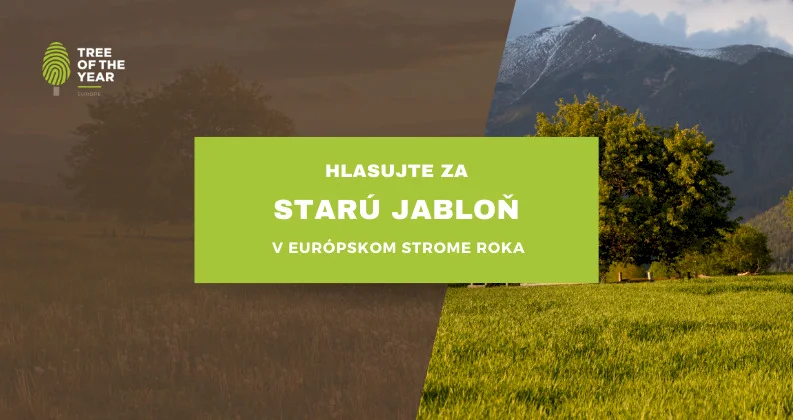 Hlasujte za Európsky strom roka