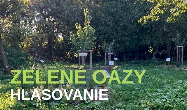 Zelené oázy: O podpore projektov rozhodujú aj hlasy verejnosti. Odovzdajte ten svoj do 5. marca