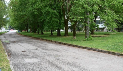 dubnica2.png