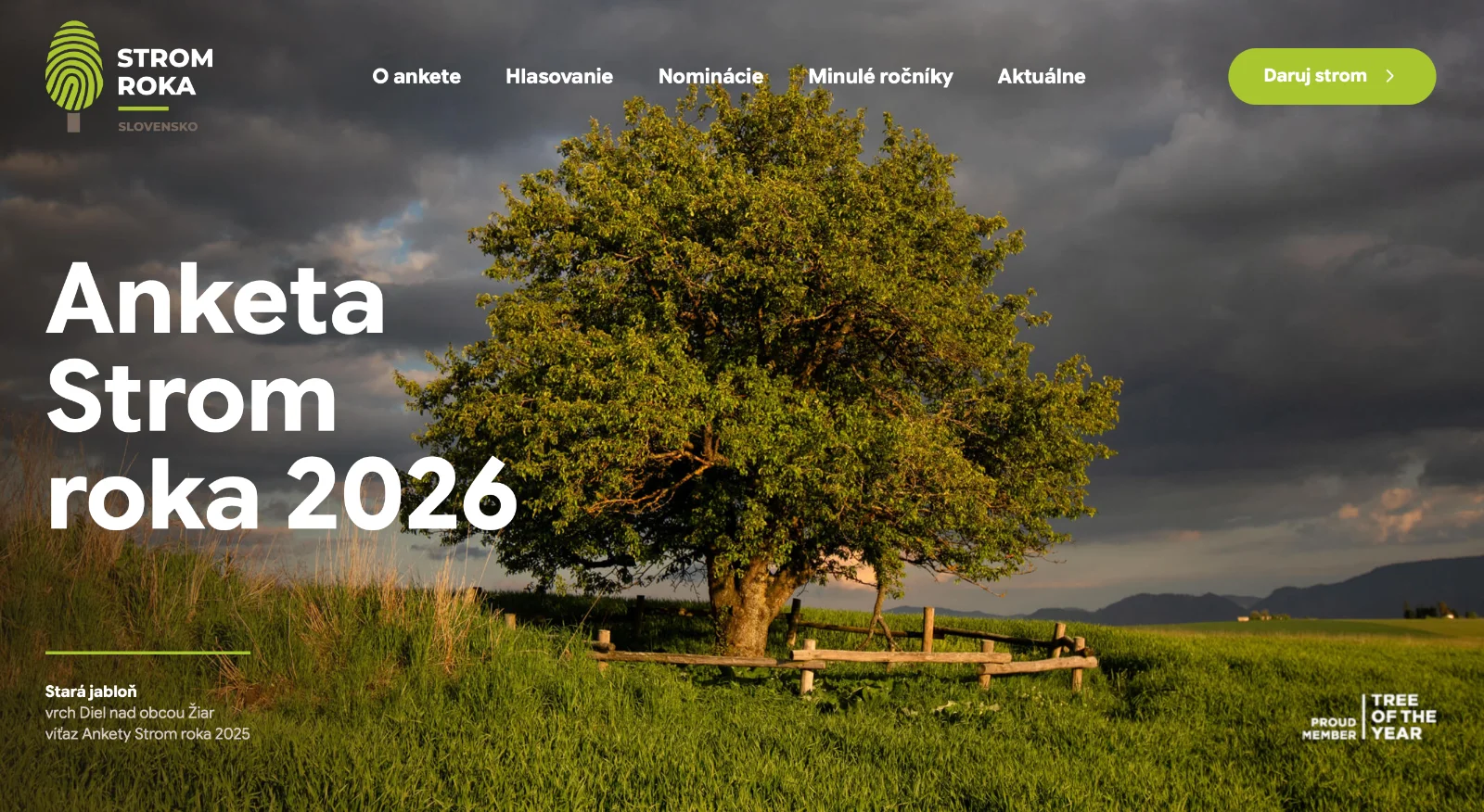 Hlasovanie za Strom roka 2026 je spustené - spoznajte finalistov tohtoročnej ankety
