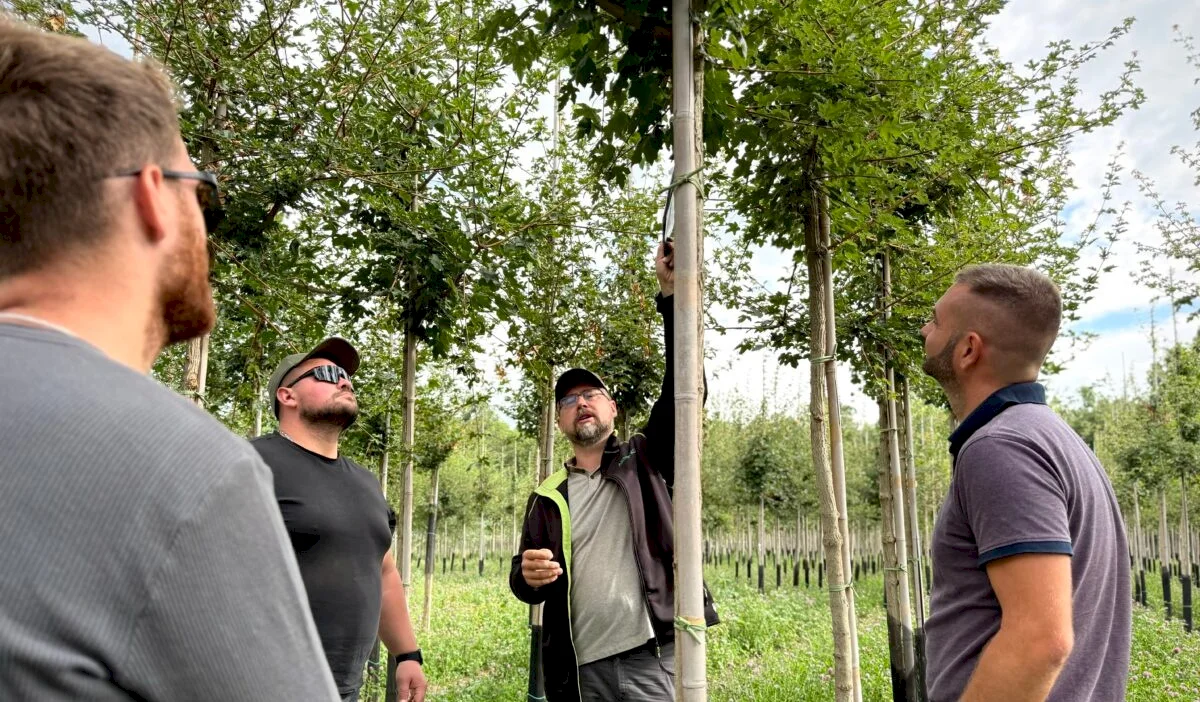 V uznávanej škôlke pri Prahe už rastú stromy pre banskobystrický mestský park. Ich výsadba bude realizovaná na jeseň