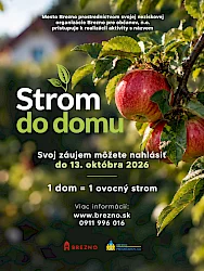 Mesto Brezno prichádza aj tento rok s iniciatívou Strom do domu
